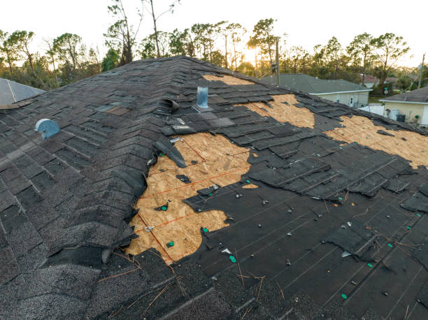 Best Roof Maintenance and Cleaning  in Blossburg, PA