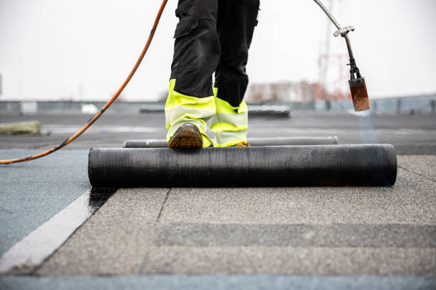 Best Roof Moss and Algae Removal  in Blossburg, PA